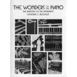 Blüthner "Textbook of the pianoforte making" (en allemand)