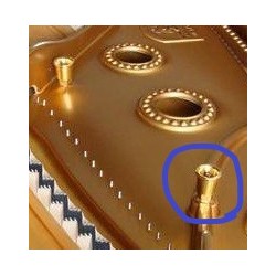 Tulipe / vis de réglage de cadre pour Steinway (différents modèles au choix)