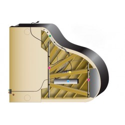 Système Life Saver pour pianos à queue jusqu'à 172 cm (DAMPP CHASER)