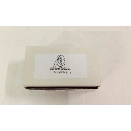 Kit de restauration Acrylikey pour ivoire
