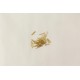 Pointes en laiton pour chevalet
