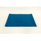 Casimir bleu Bechstein
