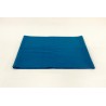 Casimir bleu Bechstein