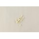 Feutre coussin blanc Renner