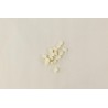 Feutre coussin blanc Renner