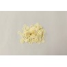 Mouches de balancier en papier