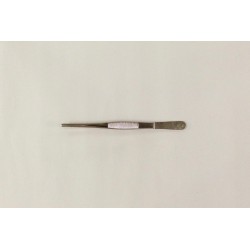 Pince