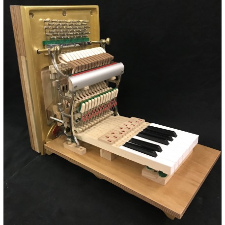 Modèle de mécanique piano droit 13 touches